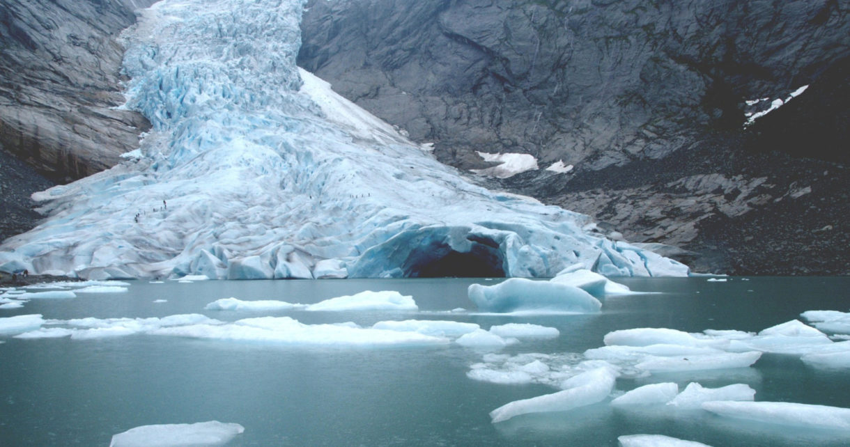 Estas son las consecuencias que tiene el cambio climático para la fauna mundial