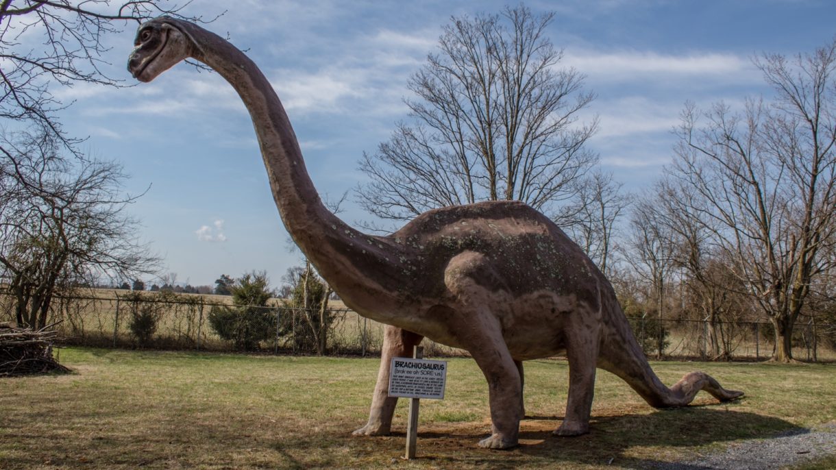 Encontrado el fósil de pie de dinosaurio más grande del mundo