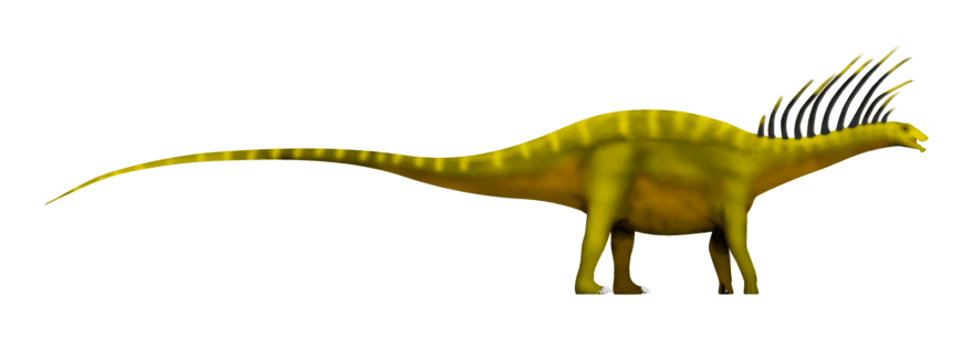 Bajadasaurus pronuspinax