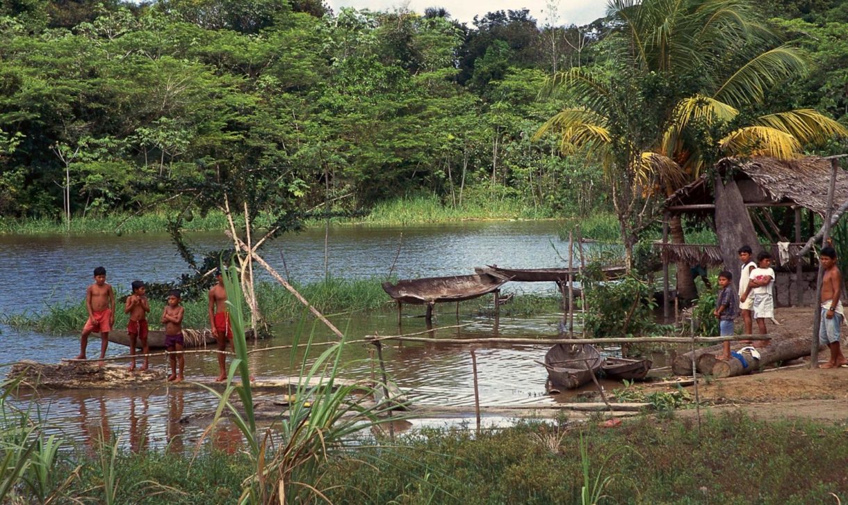 Según los expertos, la amazonia tiene cada vez menos bosques