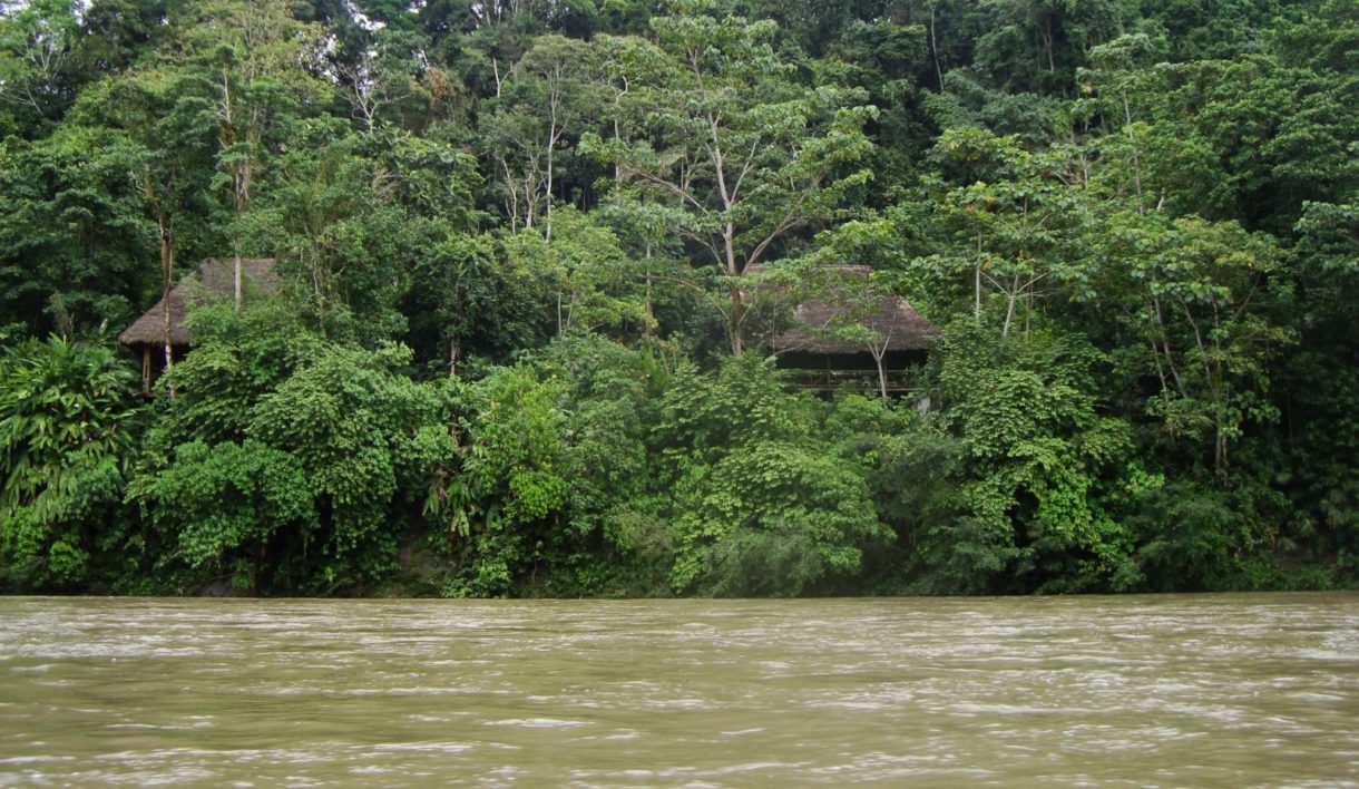 La deforestación del Amazonas se agrava, estos son los últimos datos