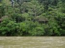La deforestación del Amazonas se agrava, estos son los últimos datos