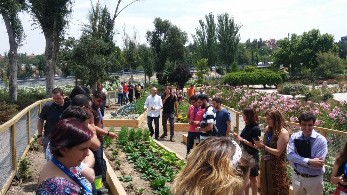 El huerto ecológico, dentro de una empresa, más grande de España está en Madrid