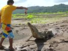Este joven da de comer a los cocodrilos para entretener a los turistas