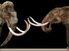 ¿Cómo y cuándo se extinguieron los mastodontes?