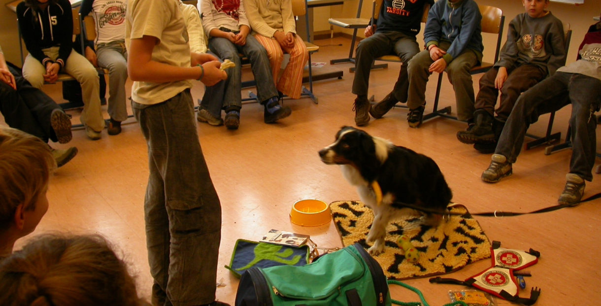 ¿Y si los perros fueran un recurso educativo más?