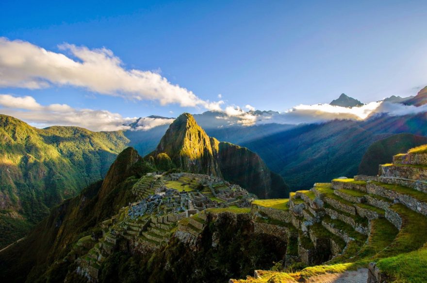 Machu Pichu Peru Faunatura