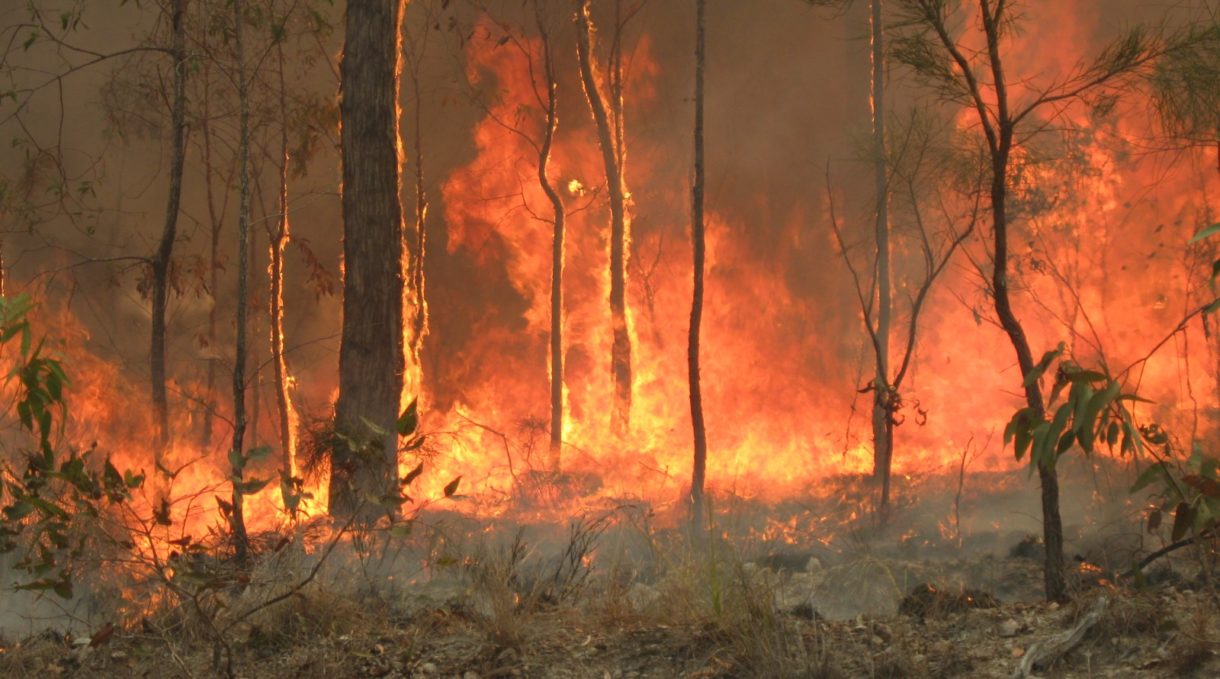 La lluvia caída sobre los incendios de Australia podría provocar más daños