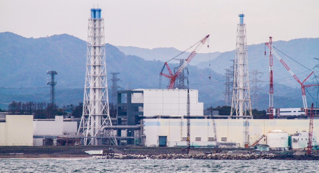 Tras el accidente de Fukushima, los animales ayudan a repoblar la zona