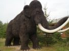Encuentran huesos de mamuts en México, en una zona que estaba ampliamente poblada