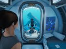 Beyond Blue, un juego para conocer mejor a las ballenas