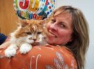 Muere, con 31 años, el gato más viejo del planeta