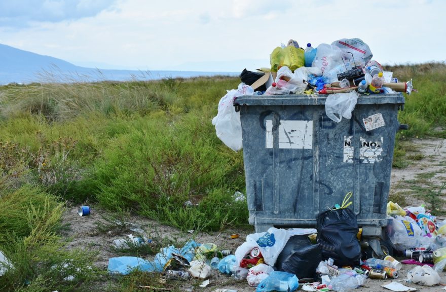Basura Reciclaje