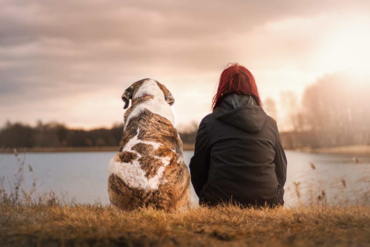 Eutanasia para mascotas: algo más que una despedida