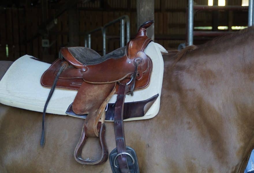 Presta atención a la hora de elegir tu silla de montar a caballo