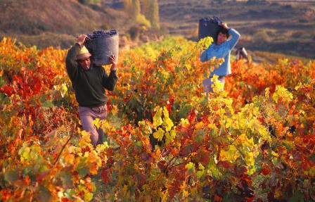 TURISMO EN LA RIOJA