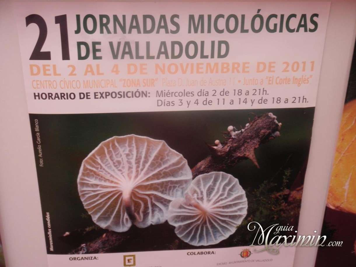 Jornadas micológicas de Valladolid