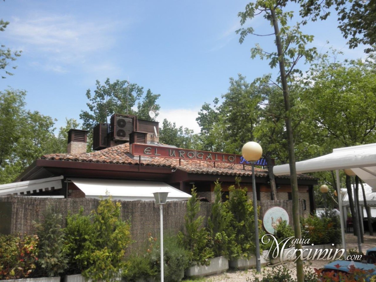 Restaurante El Urogallo – Casa de Campo (Madrid)