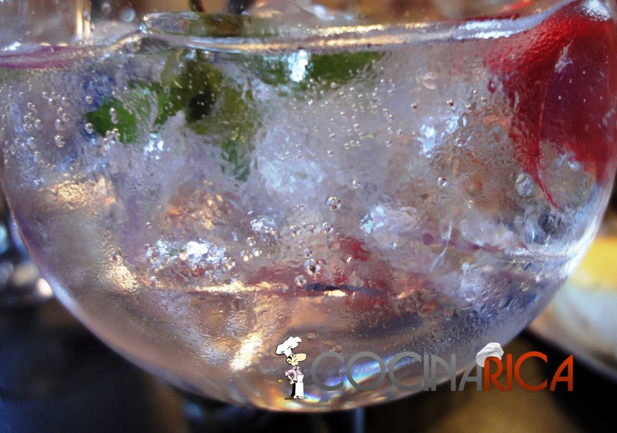 Gin Tonic: Perfect serve por David Herrero