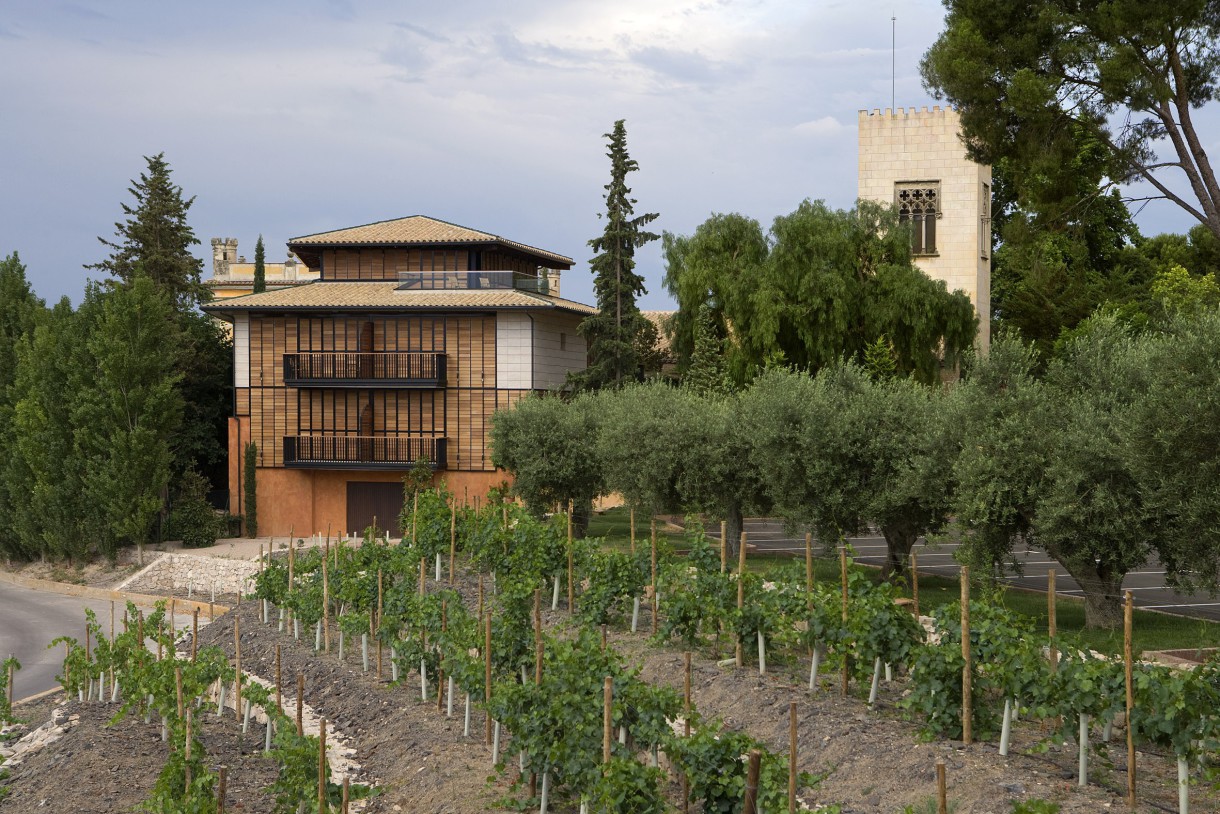 Fiesta del aceite nuevo en La Boella (La Canonja-T)