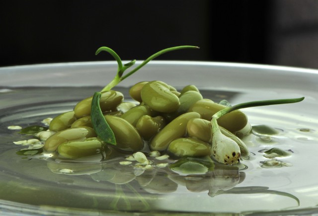 Iago Castrillon. foto receta . Verdinas verde con toques anisados (2)