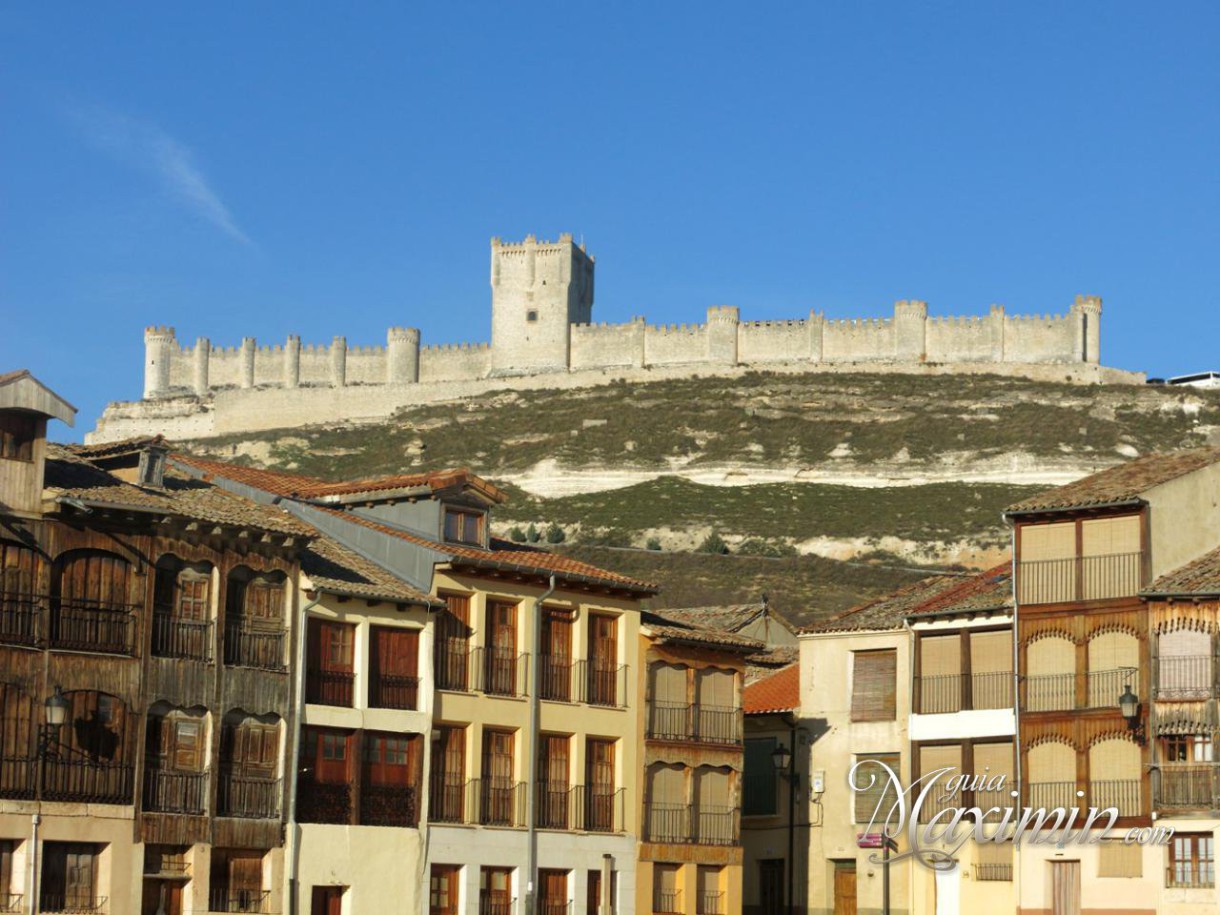 Jornadas del lechazo Ribera del Duero