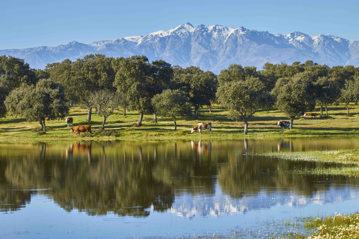 Nuevas instalaciones de La Finca en Toledo