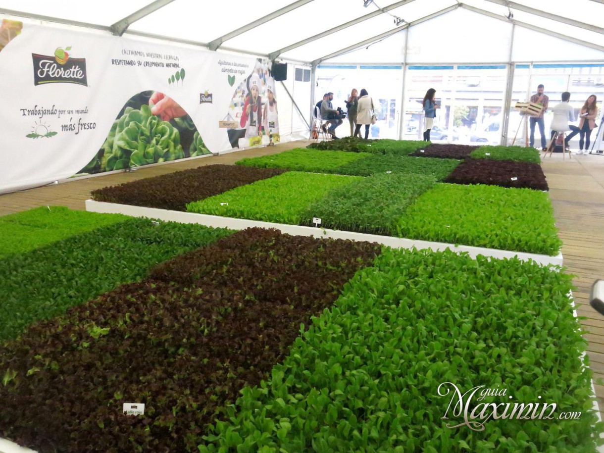 Del huerto de Florette a los mercados de Madrid