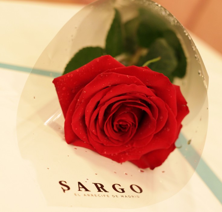 Sargo San Valentín 4 mail