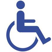 discapacidad - p