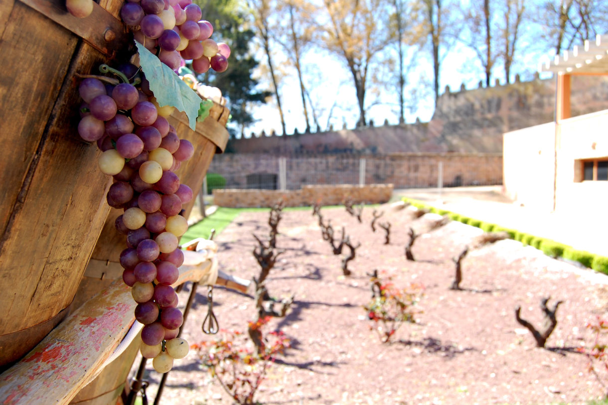 Nace Casa Agrícola de Pepe Mendoza, un placer para los sentidos