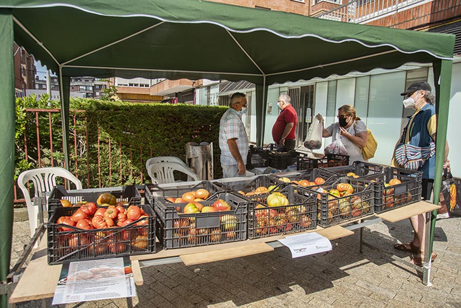 III Feria Nacional del Tomate Antiguo de Bezana