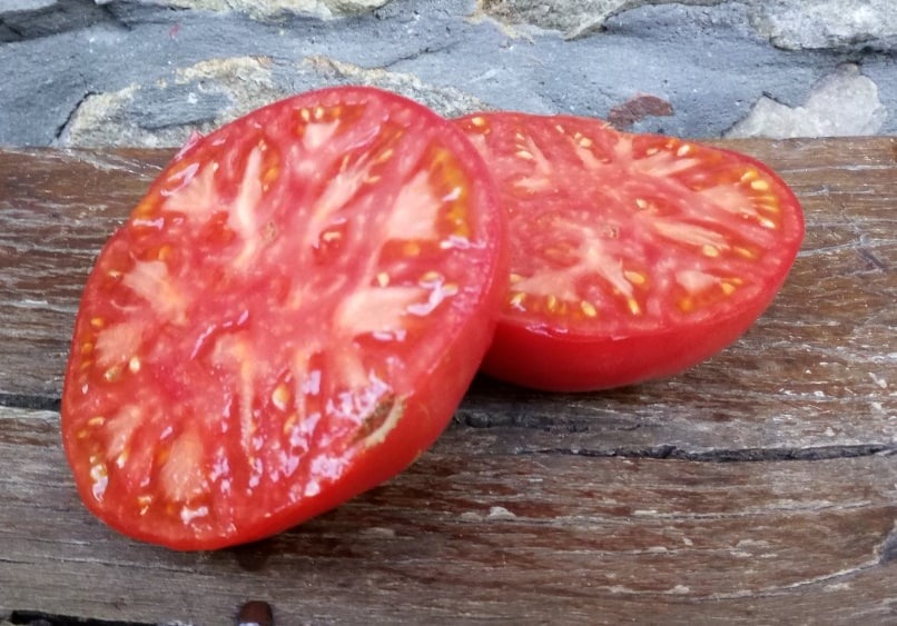 Tomate De Aretxabaleta, Abierto, Mejor Tomate De España En El Concurso De La Iii Feria Nacional Del Tomate Antiguo De Bezana