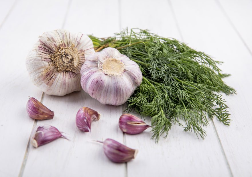 Side View Of Vegetables As Bunch Of Dill And Garlic Bulb With Garlic Cloves On Wooden Background