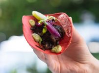 Detalle Taco De Rabo De Toro Con Cebolla Encurtida A La Lima Y Crema De Aguacate, El Jardín De Alma