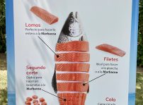 Marbacoa Salmon Noruego Guiamaximin (5)