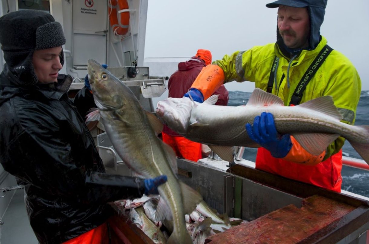 La ‘patrulla noruega del Skrei’ llega a Madrid