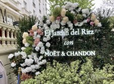 Jardin Del Ritz Guiamaximin (10)