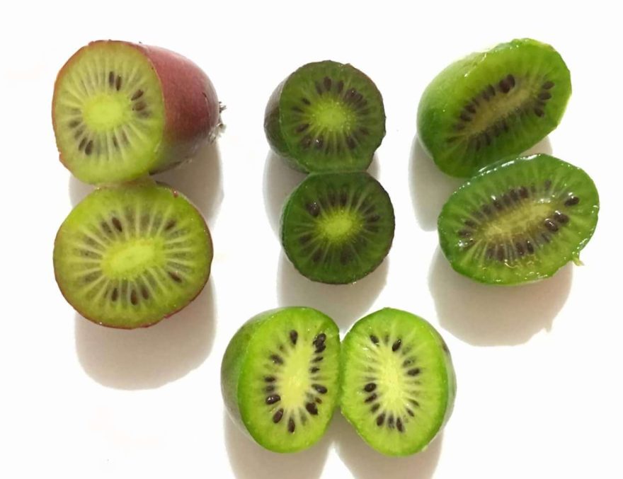 Frutos Mini Kiwi Kiwino Kiwiberry 6