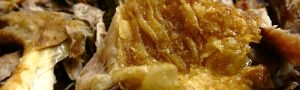XXII Jornadas gastronómicas Lechazo asado Aranda de Duero en Casa Florencio