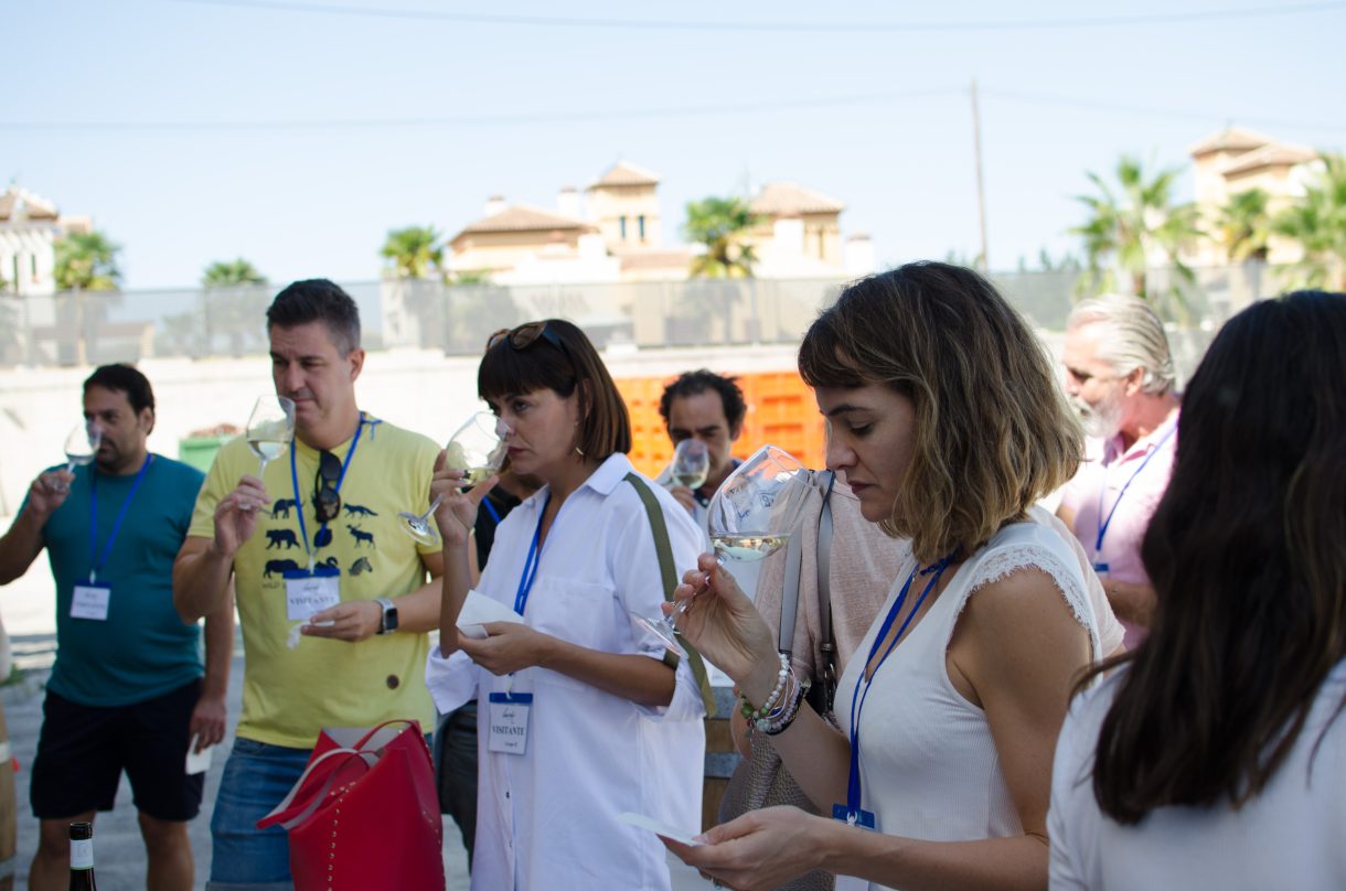 Vendimia Abierta en Bodegas Luzón. XII Edición