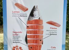 Marbacoa Salmon Noruego Guiamaximin 5