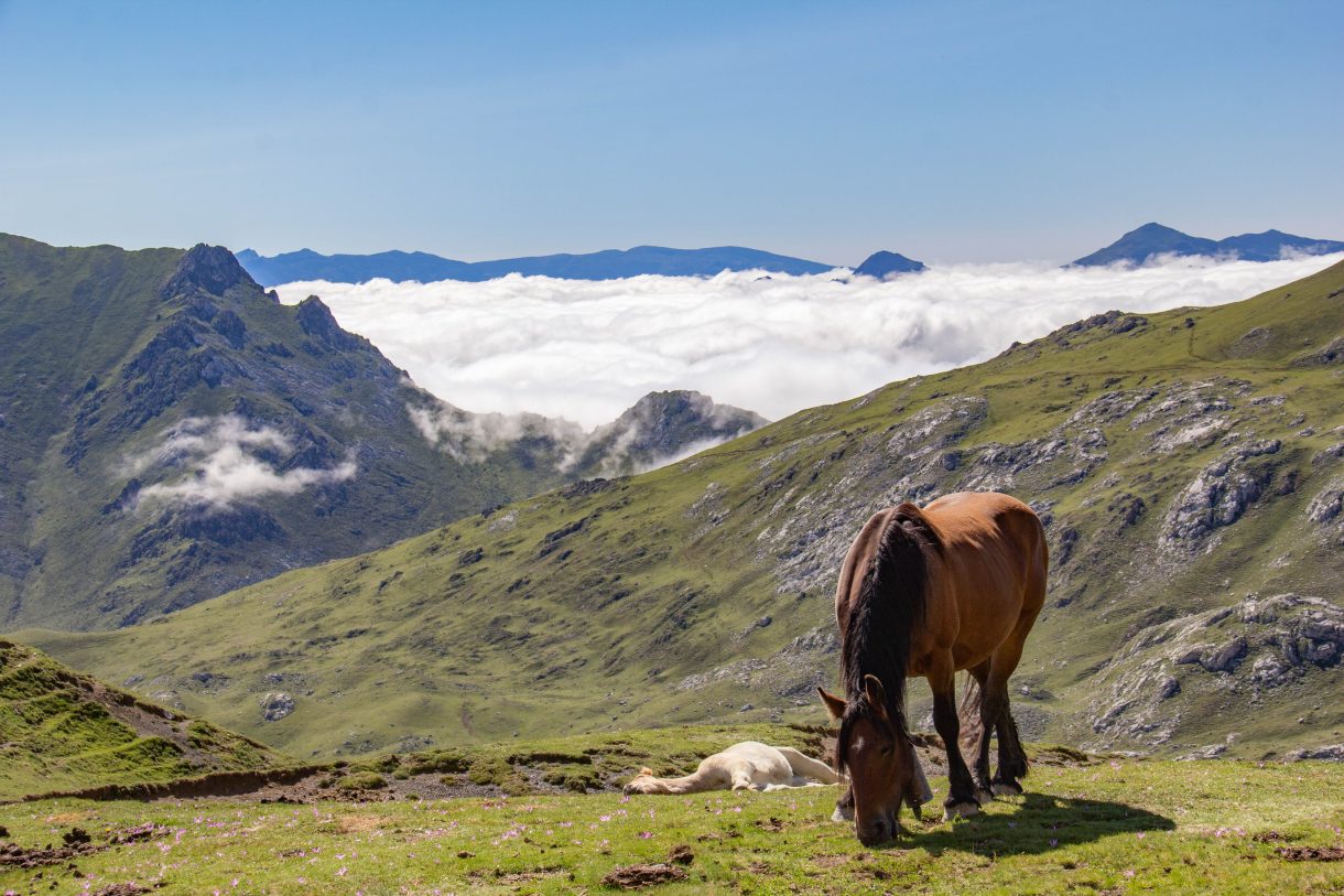 Tres motivos – o más – para descubrir la comarca de Liebana (Cantabria)