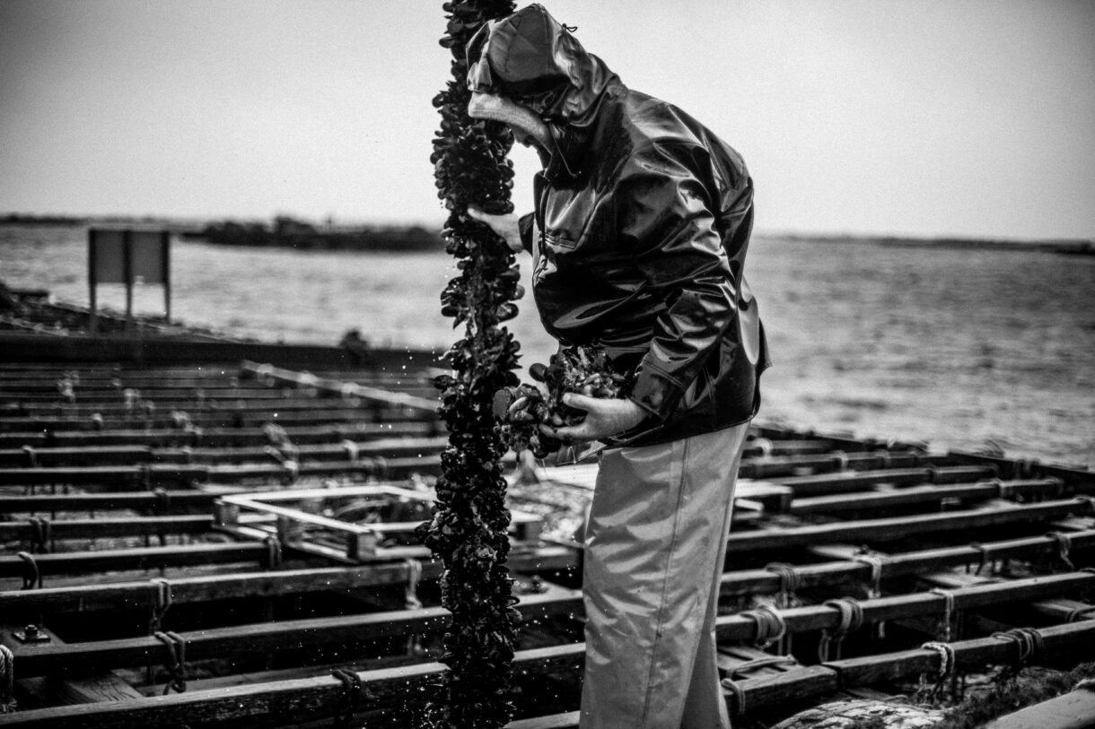 Apuntes Gastronómicos – Noviembre 2025 (II)