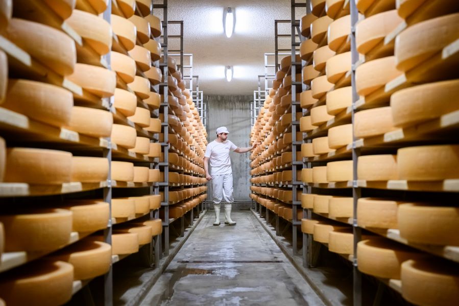 Berna, Capital of Cheese 2025: el año dorado del queso suizo