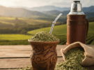 La Yerba Mate: Infusión Energizante con Propiedades Antioxidantes