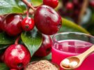 El Camu Camu: Fruta Amazónica con Vitamina C Concentrada