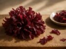 Dulse: el alga roja gallega que sabe a beicon y triplica en hierro a la carne