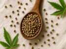 Semillas de cáñamo: la proteína vegetal completa que se come a cucharadas
