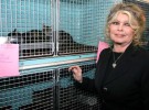 Brigitte Bardot pide a Carla Bruni que interceda sobre Sarkozy para que rechace las corridas de toros